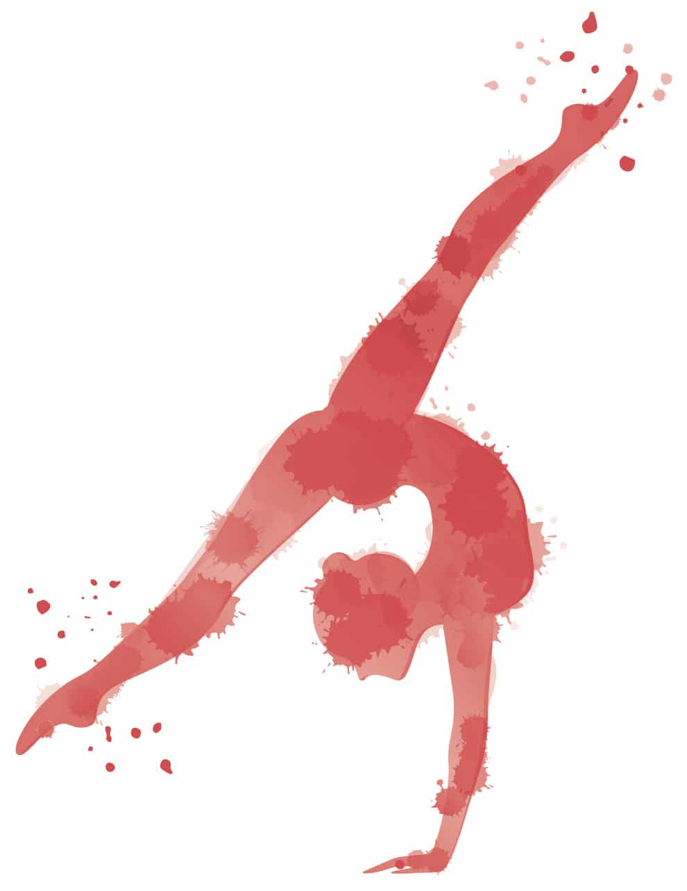 Professional gymnastics lessons by Athletic Edge